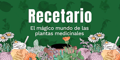 recetario el magico mundo.jpg